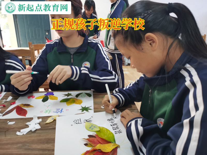 正规孩子叛逆学校矫正孩子沉迷手机行为