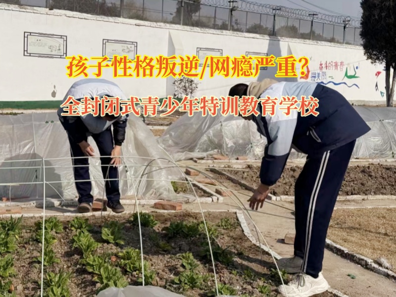 全封闭式青少年特训教育学校帮助孩子远离网络色情