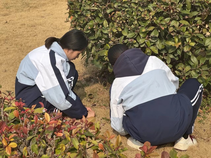 新起点教育特训学校开展校园绿化行动