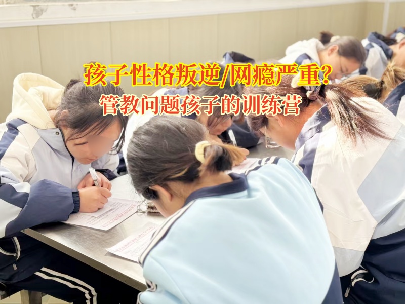 管教问题孩子的训练营智慧引导孩子走出抑郁情绪