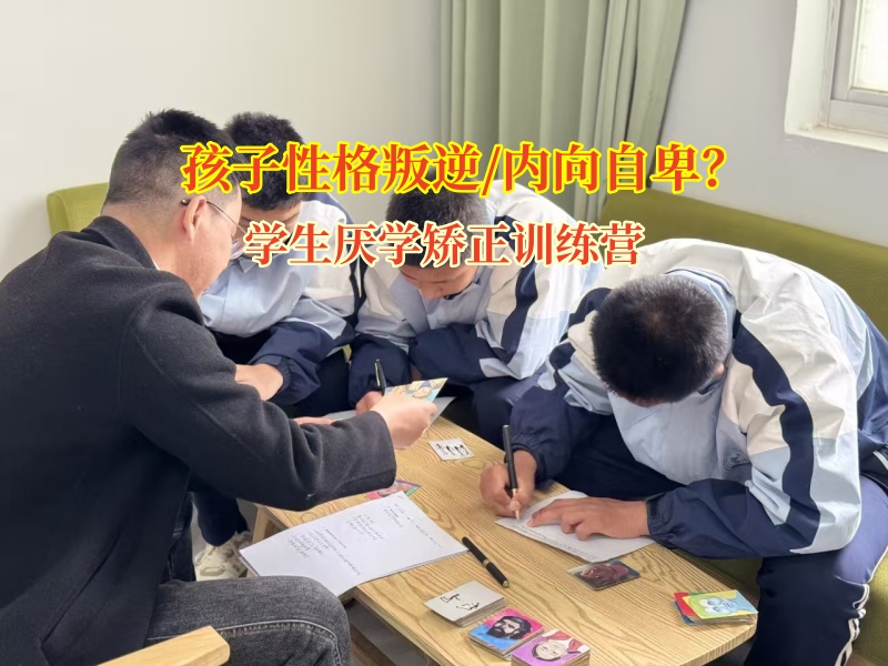 学生厌学矫正训练营助力内向孩子绽放光芒