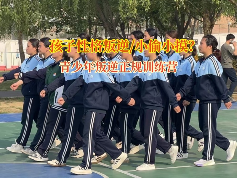 青少年叛逆正规训练营专业引导孩子小偷小摸问题