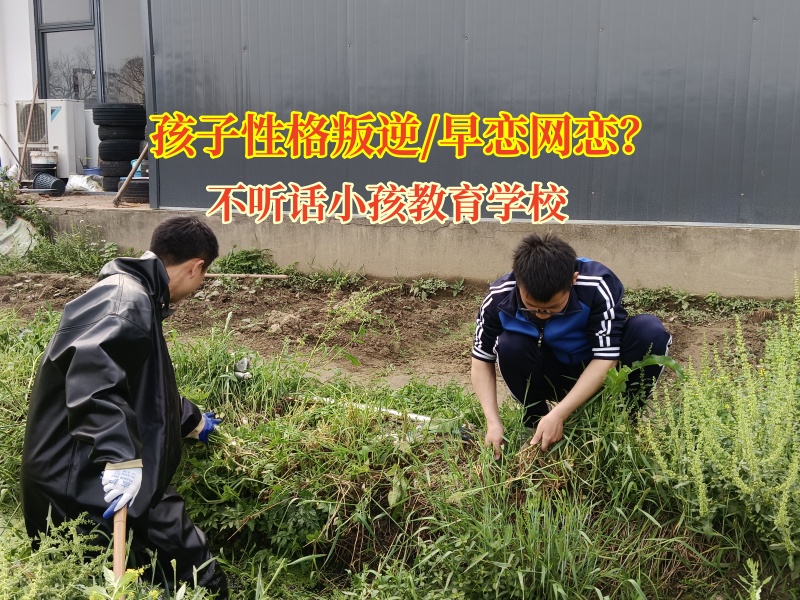 不听话小孩教育学校教育初中生远离网恋“陷阱”