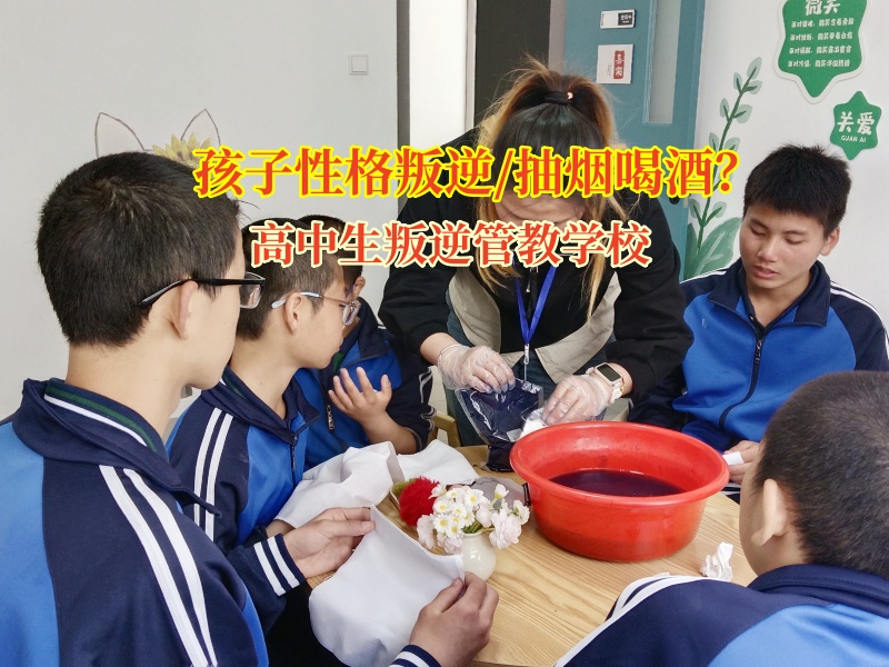 高中生叛逆管教学校助力青少年远离叛逆与不良习惯