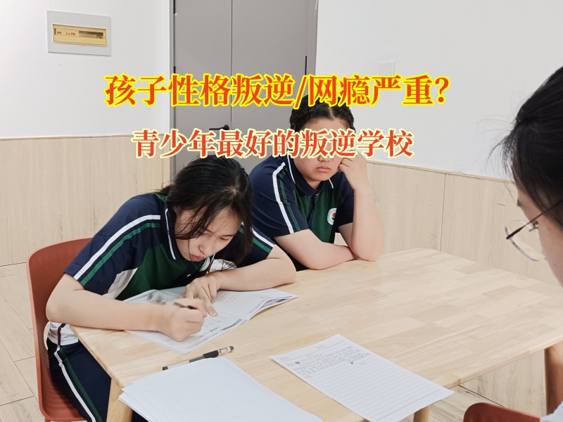 青少年最好的叛逆学校应对青少年手机成瘾