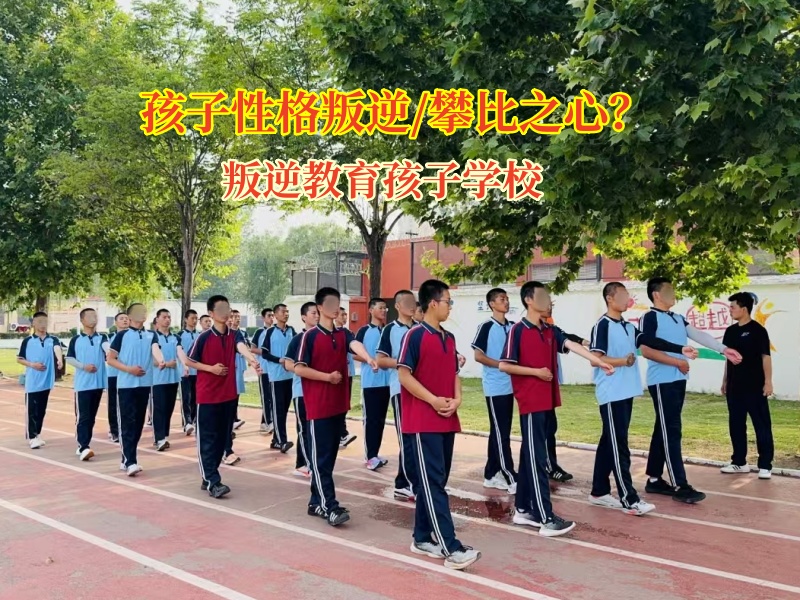 叛逆教育孩子学校教育孩子拒绝攀比