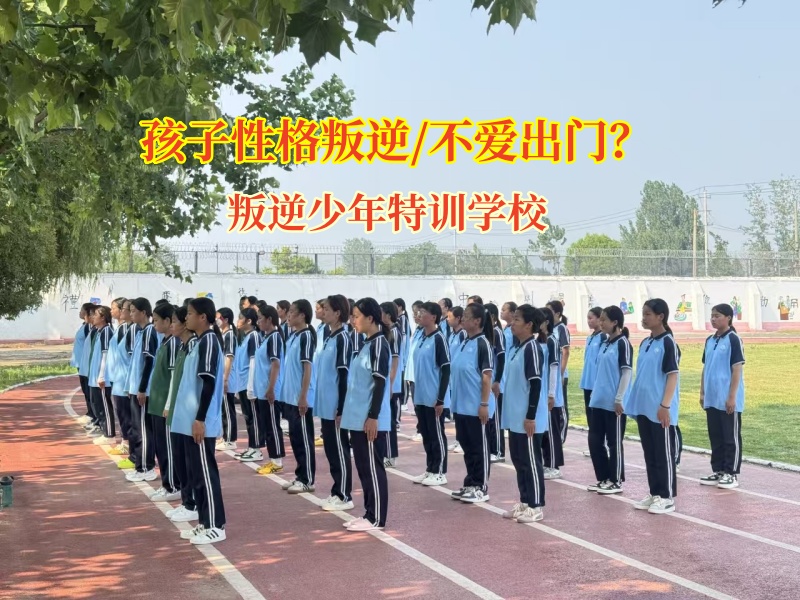 叛逆少年特训学校关注初中生宅家现象
