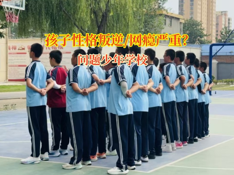 问题少年学校应对孩子好动问题