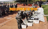 对于孩子不愿意写作业家长怎么办