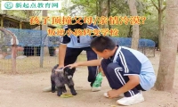 叛逆小孩转变学校纠正孩子顶撞父母