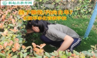 正规军事化管教学校解决孩子懒惰的小妙招