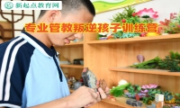 专业管教叛逆孩子训练营矫正孩子打架斗殴问题