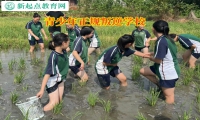 青少年正规叛逆学校矫正孩子厌学行为