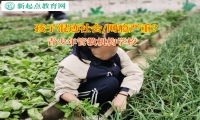 青少年管教机构学校矫正孩子跟着不良青年混社会