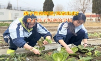 改正孩子叛逆的学校教家长如何应对孩子离家出走问题