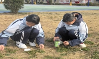 新起点教育特训学校开展校园绿化行动