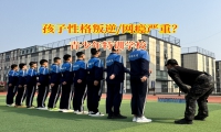 青少年特训学校守护孩子交友净土