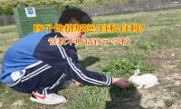 管教不听话孩子学校引导孩子走出“自私”的困境