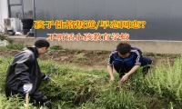 不听话小孩教育学校教育初中生远离网恋“陷阱”