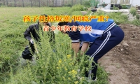 青少年教育学校共筑青少年健康上网防线