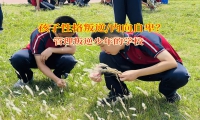 管理叛逆少年的学校帮助孩子从自卑到开朗