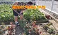 衡阳行为纠正学校：帮助孩子克服懒惰
