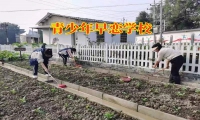 青少年早恋学校：三个方法解决孩子网恋问题