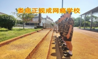 娄底正规戒网瘾学校：网络色情带给青少年的危害