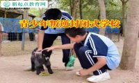 青少年叛逆封闭式学校三招解决孩子顶撞问题