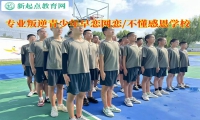 专业叛逆青少年学校教育网恋孩子的建议